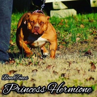 BBone Tones Princess Hermione of Tri City Bullies