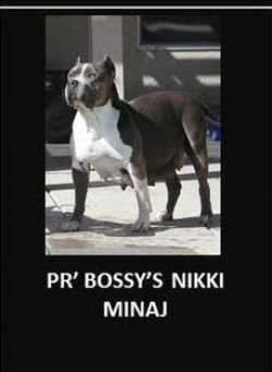 BOSSYS NICKI MINJA OF FCP of (not available)