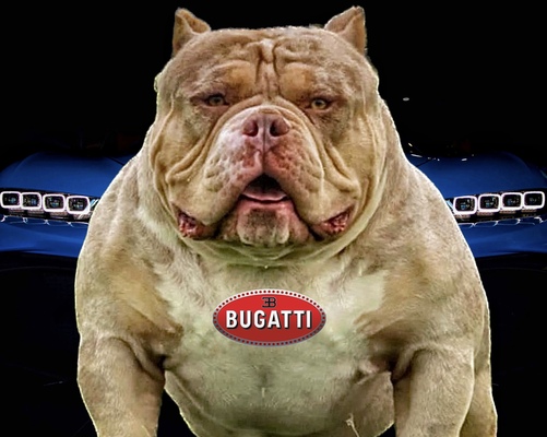 Bugatti of BoneToneBullies