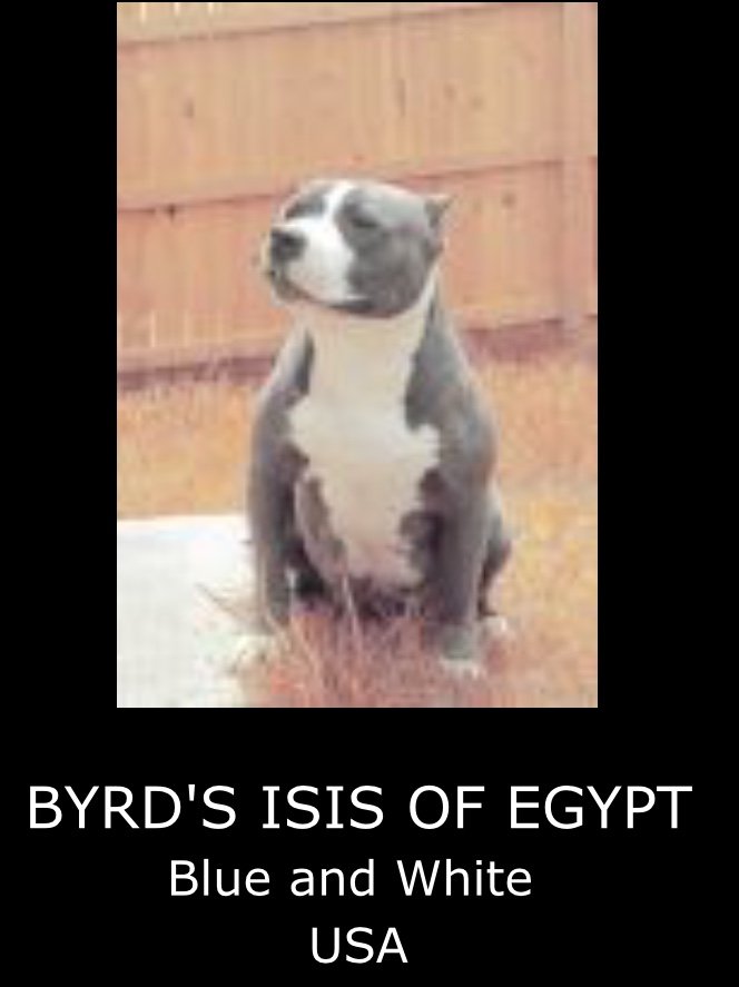 Byrdâ€™s Isis of Egypt of (not available)