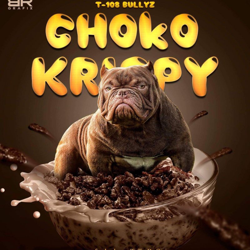 Choko-Krispy of (not available)