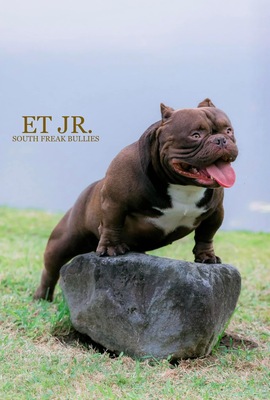 ET Junior of South Freak Bullies