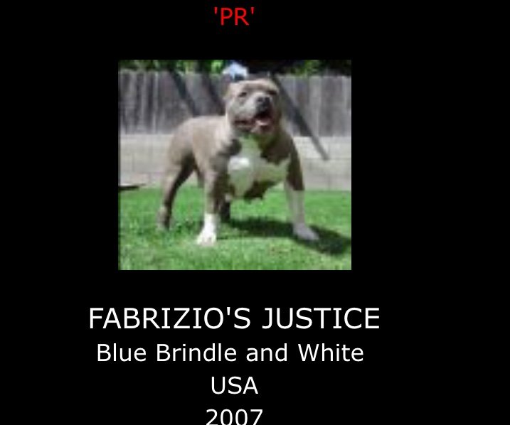 Fabrizioâ€™s Justice of (not available)