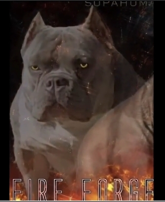 FFB Juno of FireForgedBullies