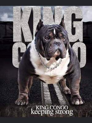 KING CONGO OF ROCKSOLIDSTYLE of (not available)