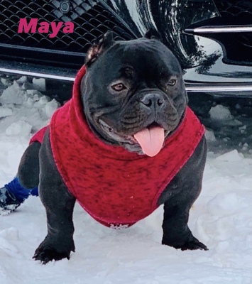 Maya of Ferma bullys