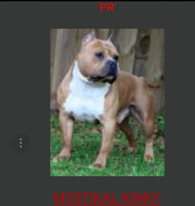 Mystikal Kinky of (not available)