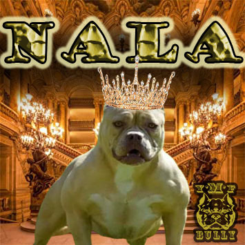 Nala of (not available)