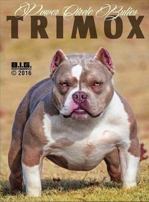 TRIMOX of (not available)