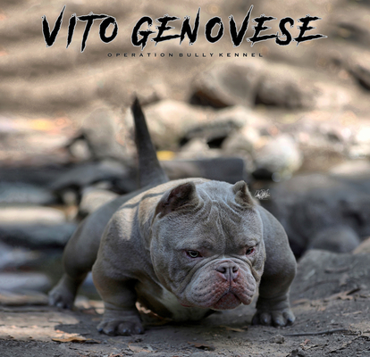 Vito Genovese of obk of (not available)