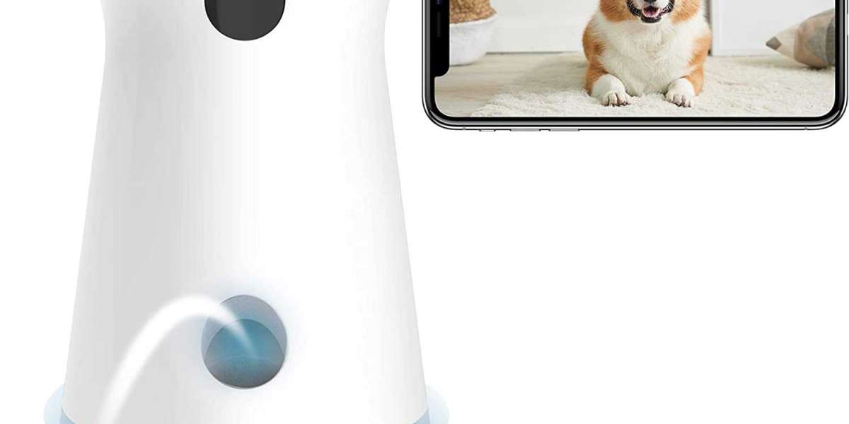 Furbo 360 Degree Dog Camera is the Perfect Companion When Your Not Around